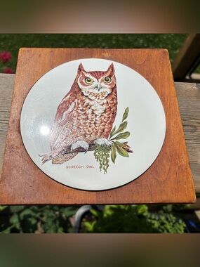 Vintage Screech Owl Ceramic Wood Trivet